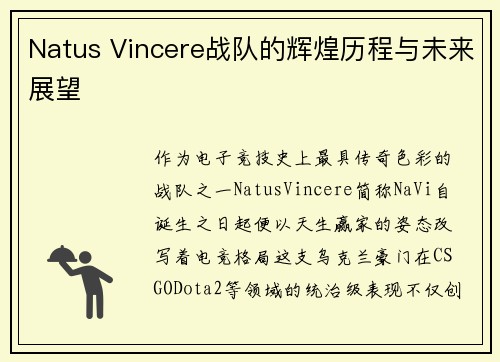 Natus Vincere战队的辉煌历程与未来展望